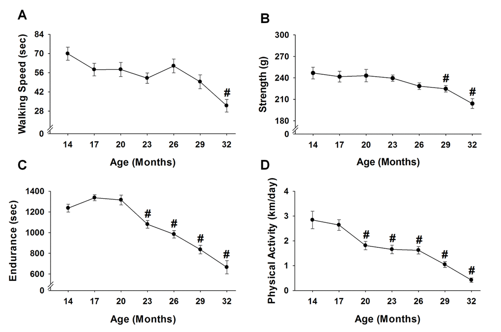 Performance across the lifespan. Fifteen mice were analyzed to test age-related changes using one-way repeated measures ANOVA followed by Bonferroni post-hoc for walking speed (A), strength (B), endurance (C), and physical activity (D). Values are presented as mean ± SEM. # significantly different from 14 months of age (p