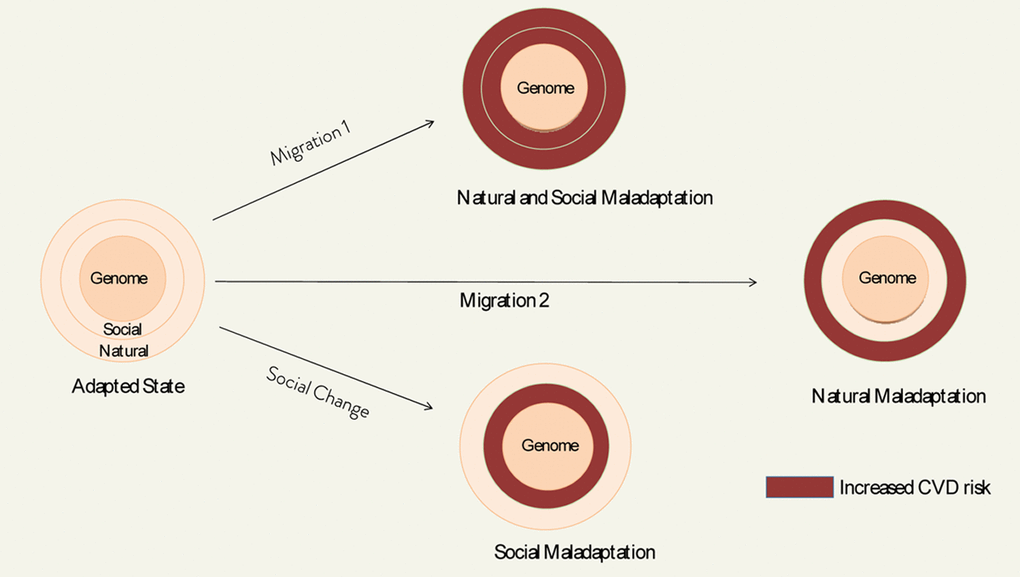 Simplified model of genome-envirome risk modification