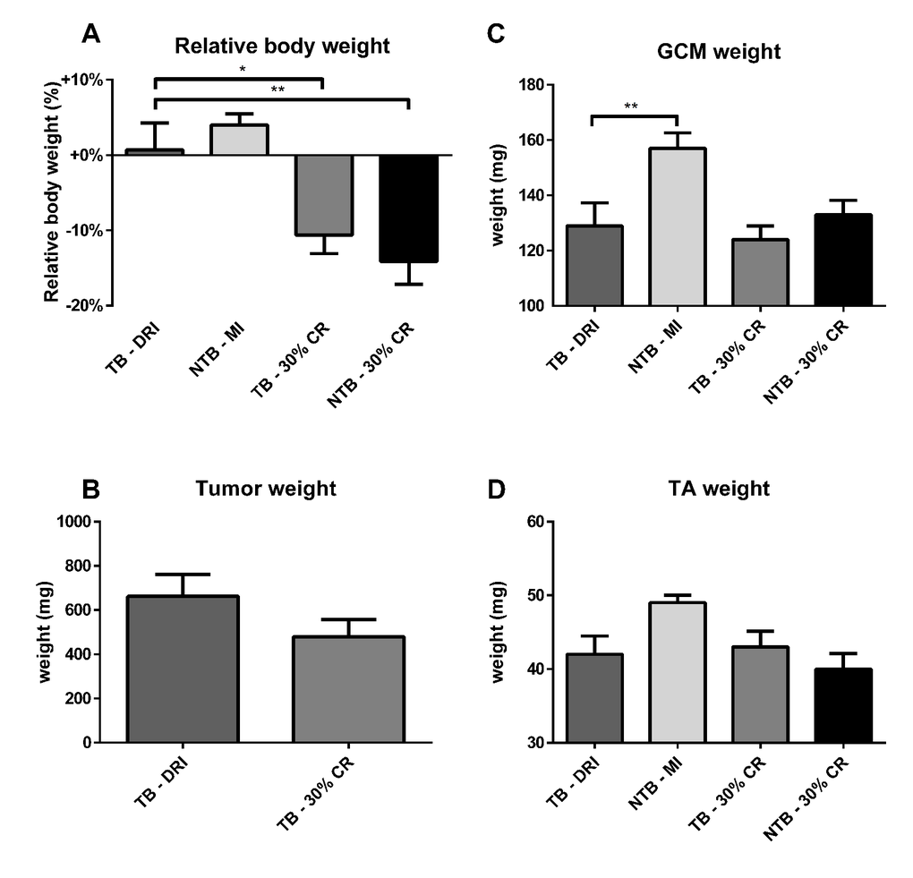 Body weight, muscle weight and tumor mass at sacrifice. Bar graphs depicting the mean ± SEM for (A) final bodyweight normalized to starting bodyweight, (B) tumor weight, (C) gastrocnemius muscle weight and (D) tibialis anterior muscle weight in C26 tumor-bearing (TB) male CD2F1 mice with ad libitum access to chow (dietary reference intake [DRI], n = 10); C26 TB mice on a 30% caloric restriction (CR, n = 10) diet; non-tumor bearing (NTB) mice with matched intake (MI, n = 10); NTB mice on a 30% caloric restriction (n = 10). Multiple group comparisons were done by one-way ANOVA with a Bonferroni’s post hoc test. All groups were compared against TB – DRI mice. Asterisk brackets are displayed for significant results only. * p t-test (p = 0.17).