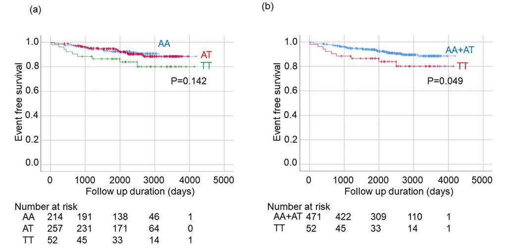 Kaplan-Meier analysis for onset of stroke among patients with hypertension stratified by rs650439. (a) Comparison among three groups (AA, AT, TT). The significance of differences among three genotypes were determined by Logrank test. (b) Comparison between two groups (AA+AT vs. TT). The significance of difference between two groups was determined by Logrank test.