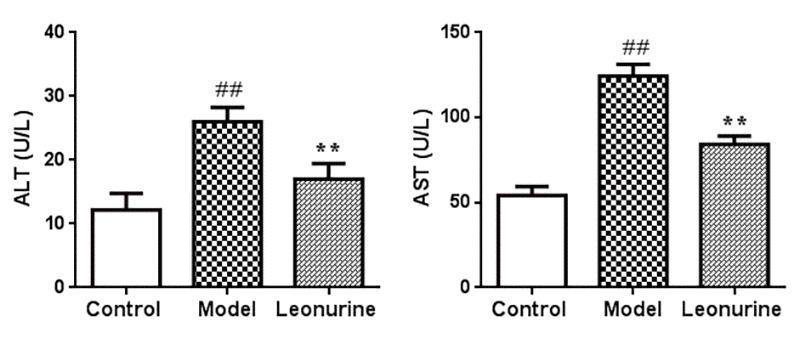 Effect of leonurine on ALT and AST levels in mice. Data are presented as mean±SD from each group (n=12, mean±SD). #P ##P P P 
