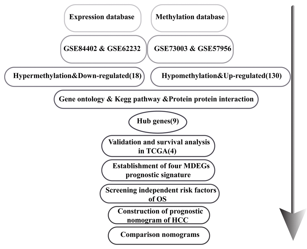 Flowchart of the study.