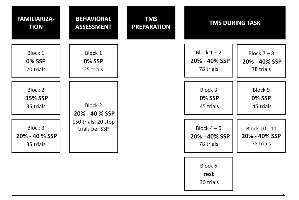 Experimental procedure. At the start of the session, participants first practiced the task. Immediately after familiarization, behavioral reactive and proactive inhibition was assessed (behavioral assessment). Next, TMS was prepared and delivered during the task. In total, there were 10 TMS task blocks and 1 TMS rest block, which were presented in the same order across participants. There were two different types of task blocks: one with certain-go trials (i.e. stop-signal probability [SSP] = 0%) and one with uncertain-go trials (i.e. SSP = 20 and 40%). During the rest block, resting measures of corticospinal excitability and intracortical inhibition were assessed.