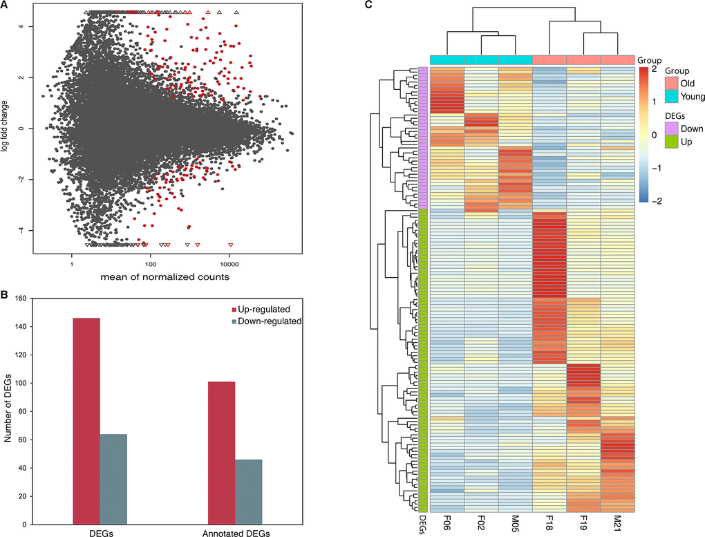 Differentially expressed genes in old group compared to young group