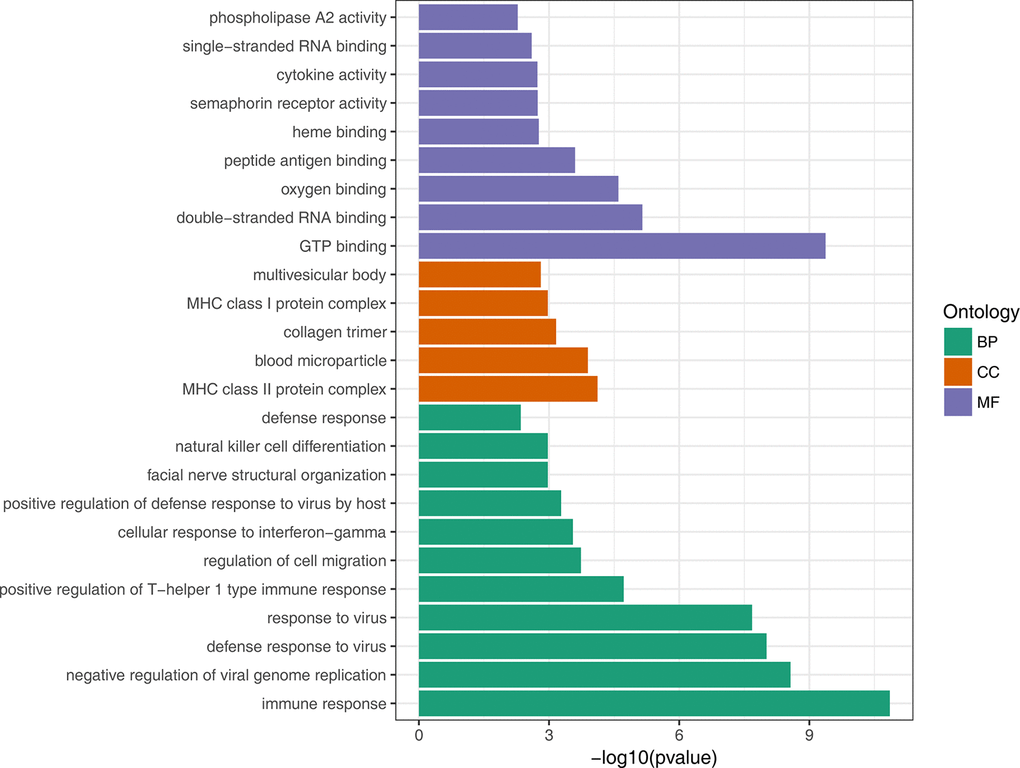 GO enrichment analysis of up-regulated DEGs