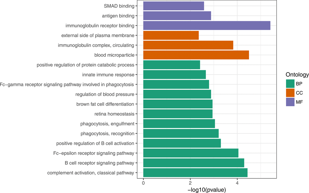 GO enrichment analysis of down-regulated DEGs