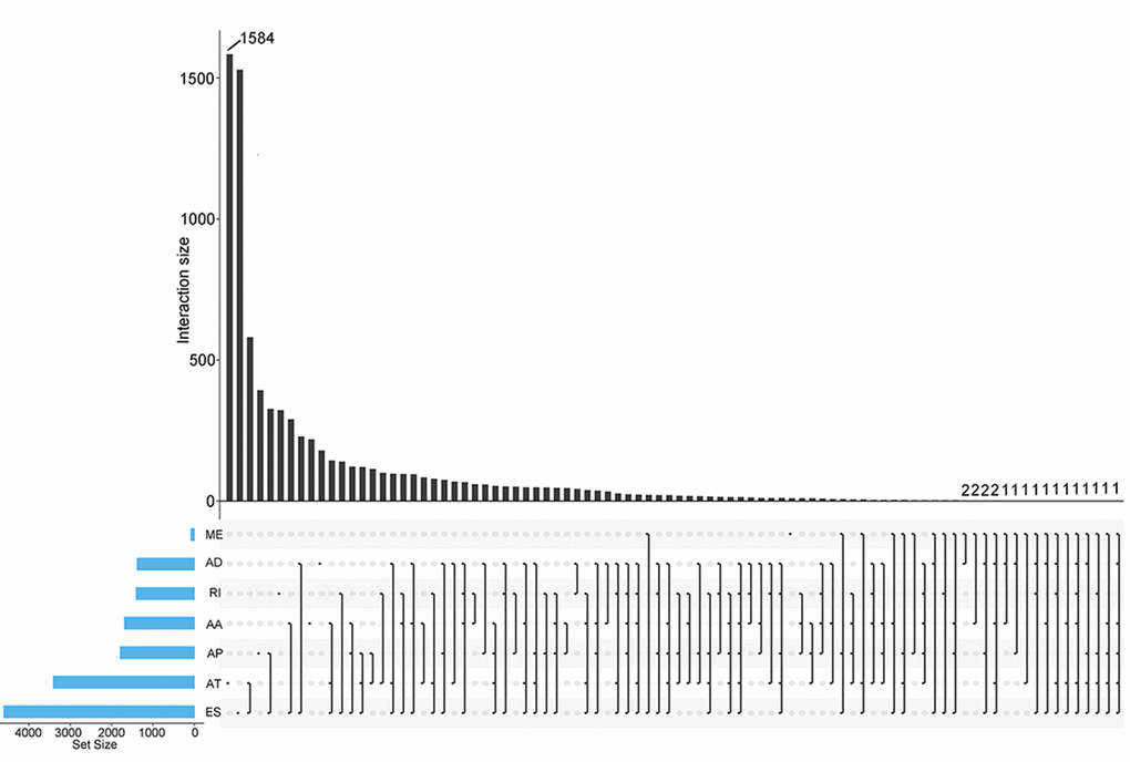 UpSet plots of AS events in UCEC. The horizontal axis and vertical axes represent number of genes in the interacting sets of one or multiple AS types and number of gens in each AS type, respectively. AA: alternate acceptor; AD: alternate donor; AP: alternate promoter; AT: alternate terminator; ES: exon skip; ME: mutually exclusive exons; RI: retained intron.