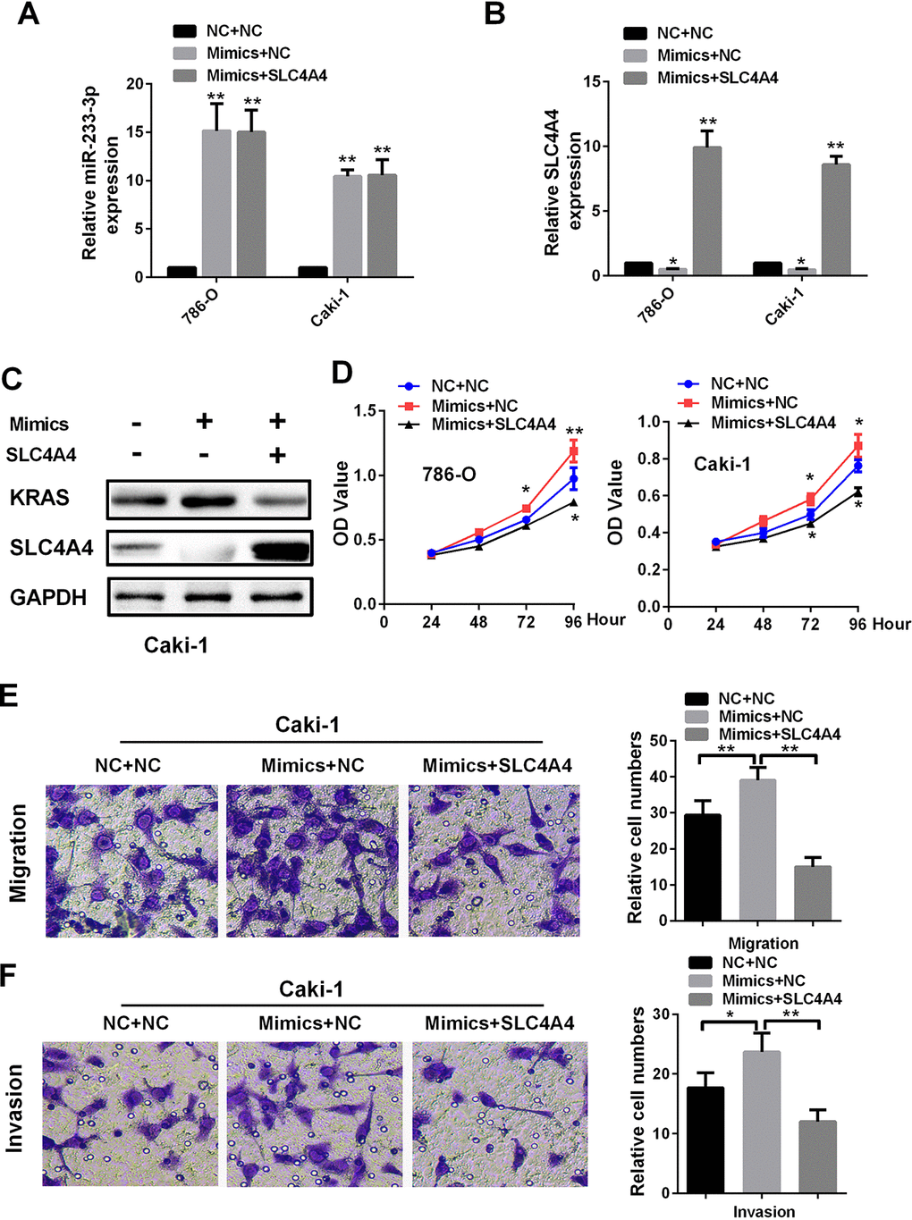 SLC4A4 overexpression attenuates the effects of miR-223-3p mimics on cellular processes