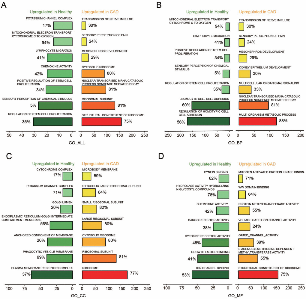 Seven most significantly enriched pathways up-regulated in healthy and CAD blood samples were presented. (A–D) Seven most distinctively activated GO