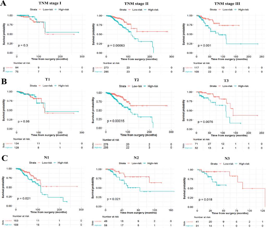 Stratified analysis of the six-miRNA signature for breast cancer patients in TNM stage (A), T stage (B), and N stage (C).