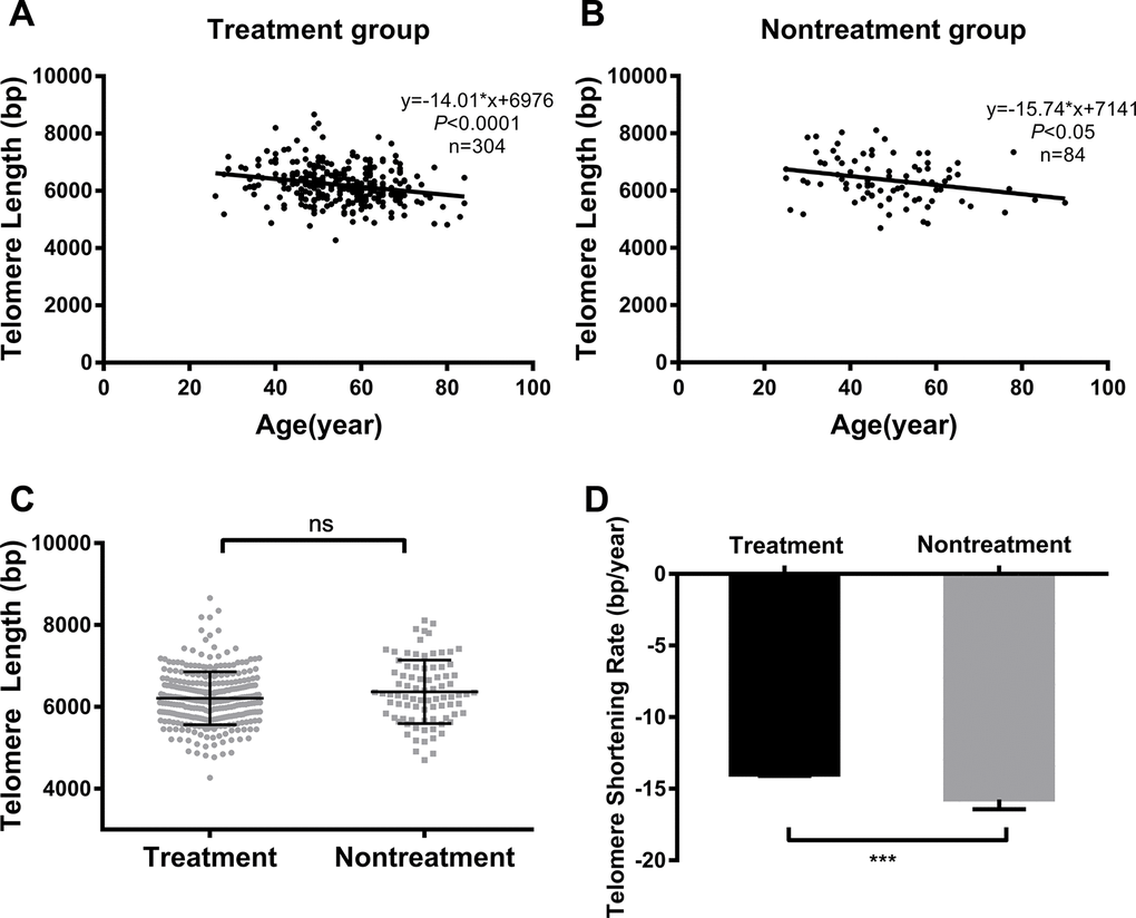 Comparison of telomere length and TSR between treated vs untreated T2DM patients. Linear regression analysis of telomere length and age in the treatment group (A) and nontreatment group (B); comparison of telomere length (C) and TSR (D) between the two groups. Solid lines in A and B indicate mean telomere lengths, calculated by regression analyses; y = -14.01*x+6976 in A (r = -0.24, P B (r = -0.27, P D) TSR was found to be -14.01 ± 3.28 bp/year in the treatment group (n = 304) and -15.74 ± 6.21 bp/year in the nontreatment group (n = 84). Telomere length is presented as the mean ± SD. TSRs are presented as the mean ± SEM. ns indicates P > 0.05, ***indicates P 