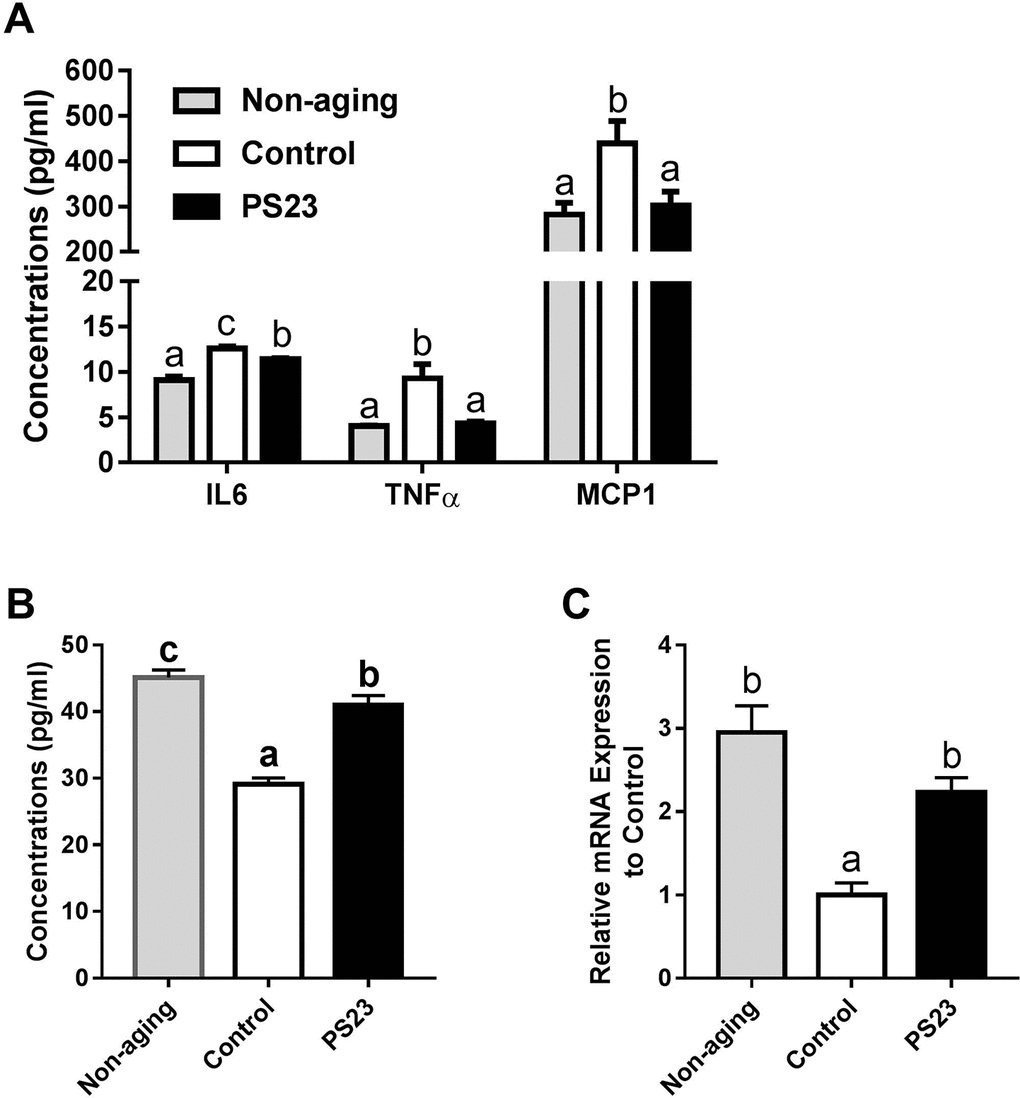 Levels of inflammation-related cytokines in serum and muscle. (A) The serum levels of IL6, TNFα, and MCP1; (B) The serum level of IL10; (C) The mRNA level of IL10 in muscle. Different superscript letters (a, b, c) differ significantly at p 