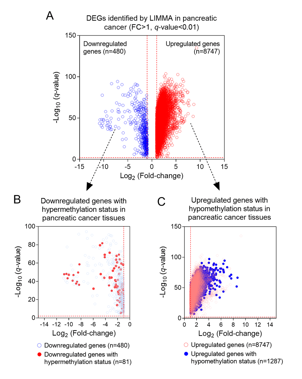 The process of screening candidate genes. (A) The DEGs in PC and normal tissues (n=9227); (B) Downregulated genes with hypermethylation status (n=81); (C) Upregulated genes with hypomethylation status (n=1287).