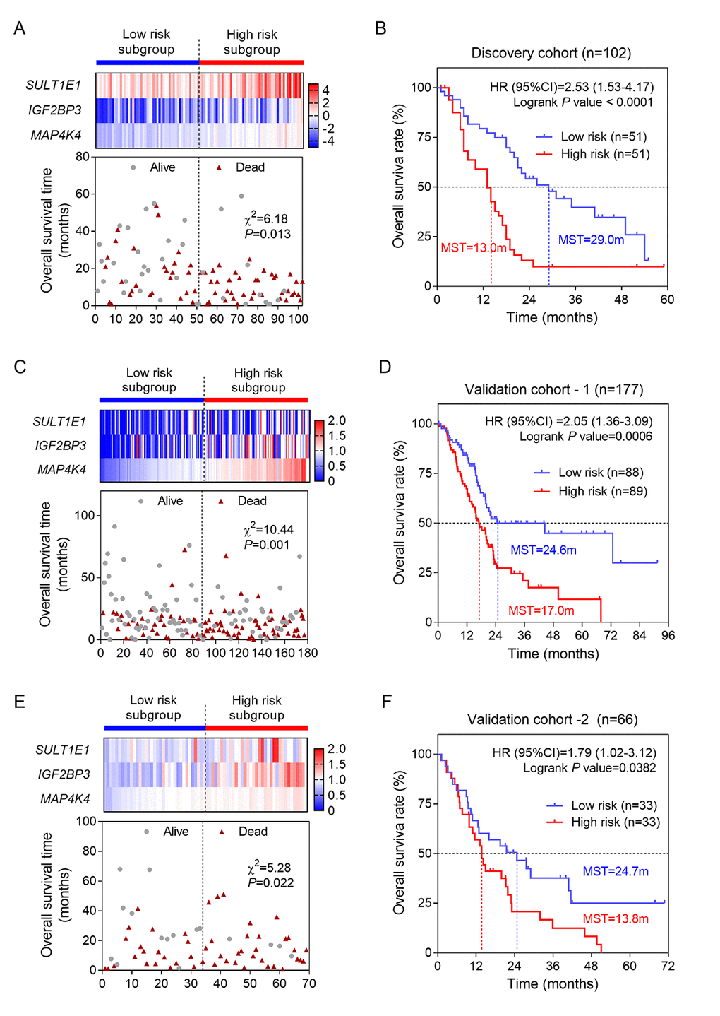 Construction and validation of three-gene risk score model. (A) The heatmap and distribution of the three gene expression profiles in the high-risk and low-risk subgroups for the discovery cohort; (B) Kaplan-Meier analysis of patients’ OS in the high-risk and low-risk subgroups of the discovery cohort; (C) The heatmap and distribution of the three gene expression profiles for the validation-1 cohort; (D) Kaplan-Meier analysis of the validation-1 cohort; (E) The heatmap and distribution of the three gene expression profiles for the validation-2 cohort; (F) Kaplan-Meier analysis of the validation-2 cohort.