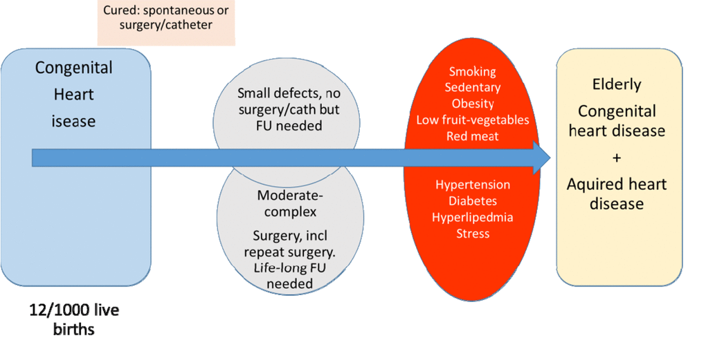 Congenital, acquired factors and lifestyle relevant for elderly with congenital heart disease.