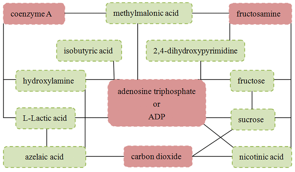 Metabolite-metabolite interaction network of the 13 identified differential metabolites