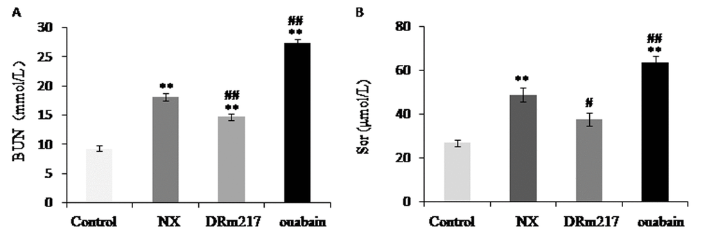 DRm217 improved and ouabain worsened renal function. Serum BUN content (A) and serum creatinine content (B) were detected. The increased serum BUN and creatinine levels were blunted by DRm217 treatment. In contrast, ouabain treatment elevated these parameters. Means±SEM, n=6-8; ** ppp