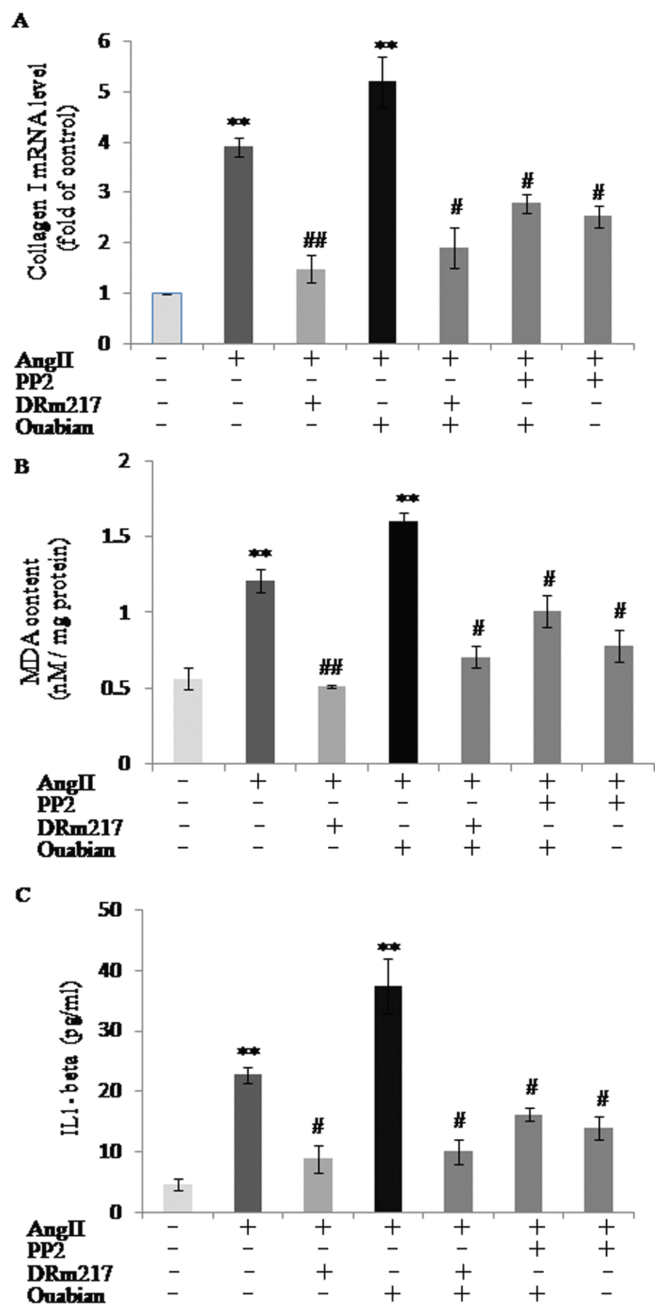 DRm217 and PP2 attenuated but ouabain strengthened AngII effect on increasing of collagen I, malondialdehyde and IL-1β in HK-2 cell. mRNA level of collagen I (A), contents of malondialdehyde contents (B), and contents of IL-1β (C) in different-treated cells. AngII increased the expression of collagen I, malondialdehyde and IL-1β, whereas, DRm217 and PP2 decreased but ouabian increased the expression of collagen I, malondialdehyde and IL-1β in AngII-treated cells. n=4. Means±SEM; * p, **ppp