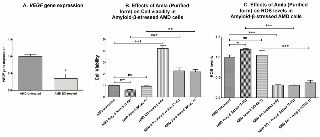 Effect of EO on VEGF gene expression and on cell viability and ROS levels in amyloid-β-stressed AMD cells. This figure showed down-regulation of VEGF gene in EO-treated AMD cybrids (A). Pretreatment with EO rescued AMD cybrids from amyloid-β-induced damage as shown by changes in cell viability (B (bar 2 versus bar 5) and ROS levels (C (bar 2 versus bar 5). *, **, and *** indicate p