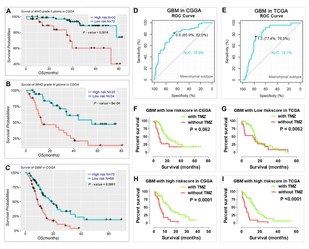 Prognostic value of the risk signature in patients stratified by WHO grade. (A–C) Kaplan–Meier overall survival curves for patients with WHO grade II (A), WHO grade III (B), and GBM (C). (D-E) ROC curves showed the predictive efficiency of the risk signature on mesenchymal subtype in GBM of CGGA (D) and TCGA (E) datasets. (F-I) GBM patients with high risk scores had a greater benefit from TMZ chemotherapy.