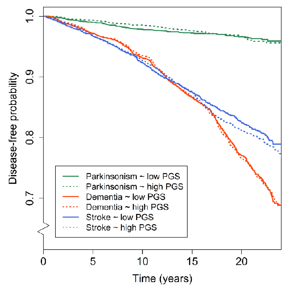 Polygenic scores for general cognitive function and disease-free probability for dementia, parkinsonism and stroke. Kaplan-Meier curves presenting the association between low (i.e. below the median) and high (above the median) polygenic scores and the disease-free probability over time for dementia, parkinsonism, and stroke. Abbreviations: polygenic score (PGS).