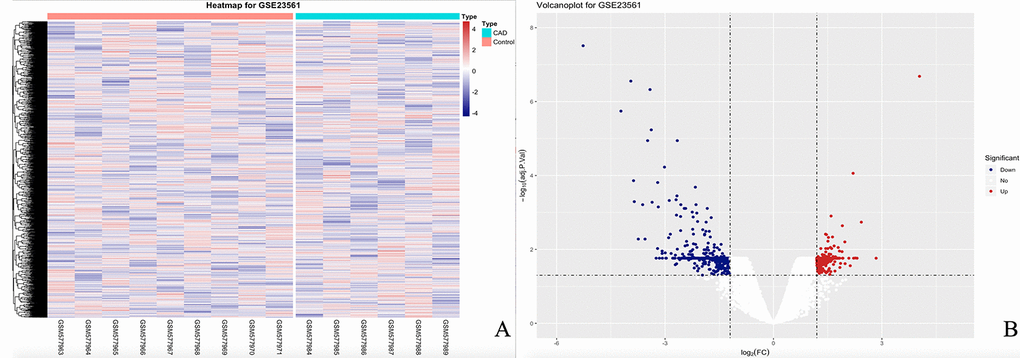 The heatmap and volcanoplot for DEGs. (A) For the heatmap, the control samples are shown as a red cluster, and the CAD samples are shown as a green cluster. (B) For the volcano plot, the two vertical lines show the 1.2-fold change boundaries and the horizontal line the statistical significance boundary (adj-P 