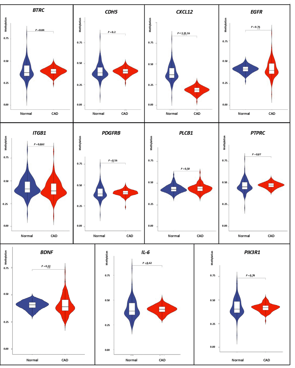 Verification of DNA methylation of interest between CAD and healthy samples.