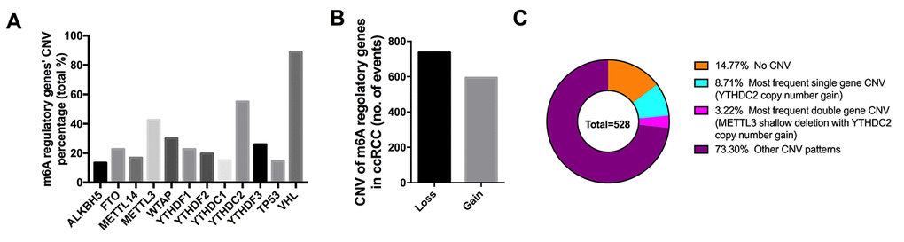 CNVs of m6A regulatory genes in ccRCC. (A) Percentage of ccRCC samples with CNVs of the m6A regulators based on the data from TCGA. (B) Events of copy number gain or loss of m6A regulatory genes in ccRCC samples. (C) The most common patterns of CNVs in m6A regulatory genes in ccRCC samples.