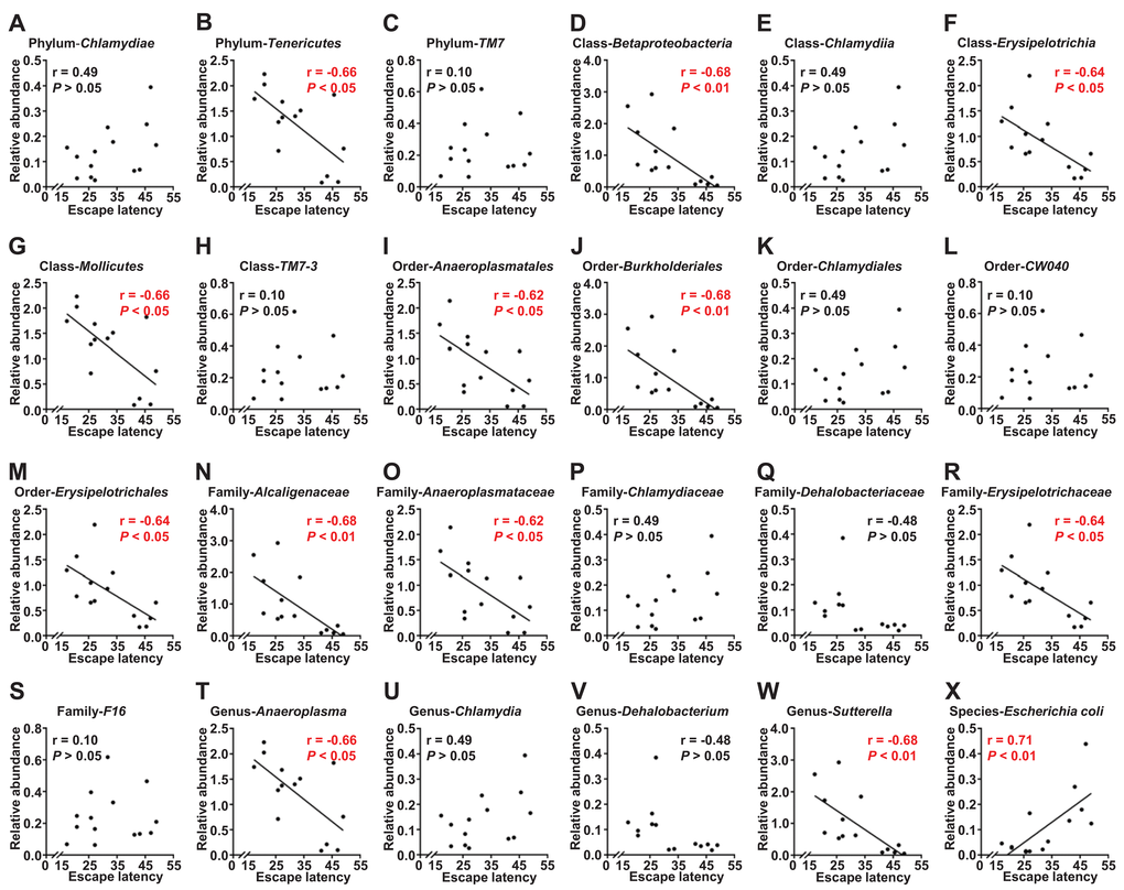 Correlations between escape latency and the composition of gut bacterium (N=14). (A) Phylum Chlamydiae (r = 0.49, P>.05). (B) Phylum Tenericutes (r = −0.66, PC) Phylum TM7 (r = 0.10, P>.05). (D) Class Betaproteobacteria (r = −0.68, PE) Class Chlamydiae (r = 0.49, P>.05). (F) Class Erysipelotrichia (r = −0.64, PG) Class Mollicutes (r = −0.66, PH) Class TM7 3 (r = 0.10, P>.05). (I) Order Anaeroplasmatales (r = −0.62, PJ) Order Burkholderiales (r = −0.68, PK) Order Chlamydiales (r = 0.49, P>.05). (L) Order CW040 (r = 0.10, P>.05). (M) Order Erysipelotrichales (r = −0.64, PN) Family Alcaligenaceae (r = −0.68, PO) Family Anaeroplasmataceae (r = −0.62, PP) Family Chlamydiaceae (r = 0.49, P>.05). (Q) Family Dehalobacteriaceae (r = −0.48, P>.05). (R) Family Erysipelotrichaceae (r = −0.64, PS) Family F16 (r = 0.10, P>.05). (T) Genus Anaeroplasma (r = −0.66, PU) Genus Chlamydia (r = 0.49, P>.05). (V) Genus Dehalobacterium (r = −0.48, P>.05). (W) Genus Sutterella (r = −0.68, PX) Species Escherichia coli (r = 0.71, P