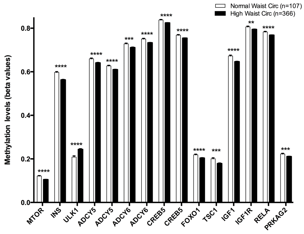 Methylation levels (beta values mean ± SEM) of CpGs located at genes of the longevity-regulating pathway in relation to waist circumference categories after age and sex adjustments. Normal waist circumference vs High waist circumference levels, p