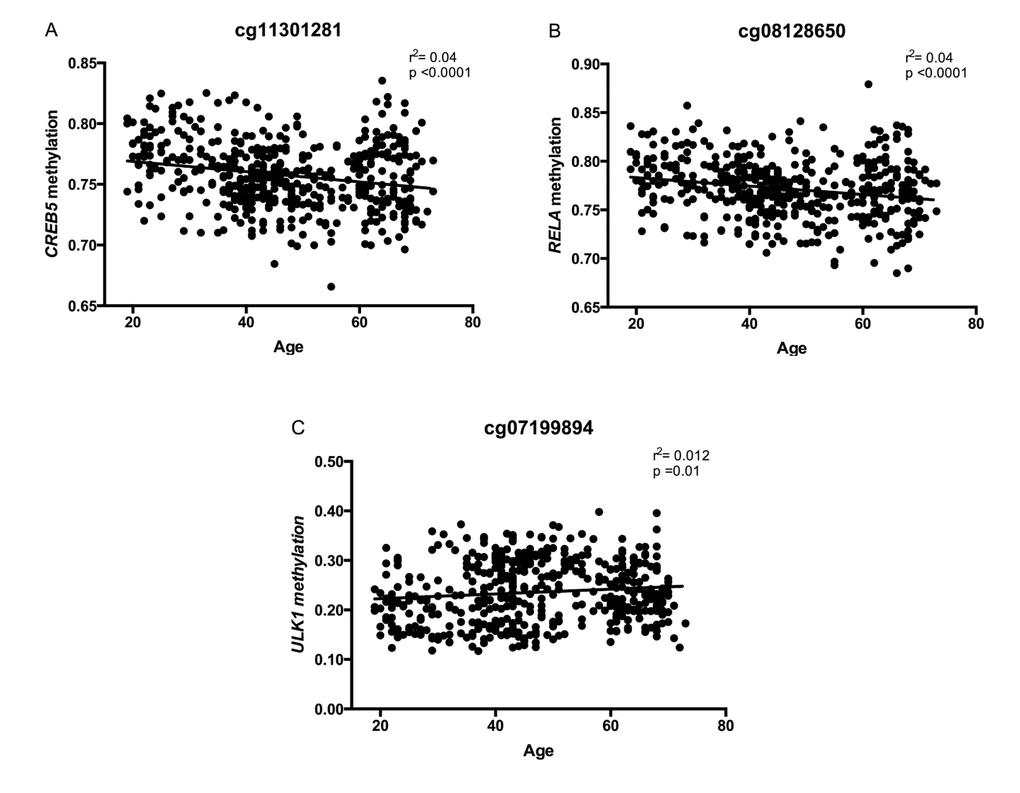 Correlations between DNA methylation levels (beta values) at CpGs located at genes of the longevity-regulating pathway and age, after sex adjustment. In (A) cg08128650, RELA, (B) cg11301281, CREB5, and (C) cg07199894, ULK1 (n=474 subjects).