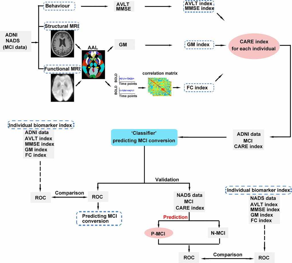 Schematic diagram of the proposed classification, independent validation, and prediction framework. First, we calculated each individual CARE index score for MCI subjects in the ADNI and NADS datasets. Second, we utilized a CARE index score (A score on the CARE index is equivalent to the subject’s disease stage.) to classify N-MCI and P-MCI subjects in the ADNI dataset. Third, we applied the ‘CARE index stage “classifier” determined from the ADNI dataset to predict the conversion of MCI subjects in the NADS dataset. The ROC curve was used to assess the performance of the CARE index stage classifier and the CARE index stage prediction classifier, respectively. In addition, we assessed the performance differences of CARE index stage classification and prediction and original indices (AVLT, MMSE, GM, and FC indices) by comparing these ROCs across datasets. Abbreviations: MCI, mild cognitive impairment; ADNI, Alzheimer’s Disease Neuroimaging Initiative; NADS, Nanjing Aging and Dementia Study; AD, Alzheimer’s disease; MMSE, Mini-Mental State Examination; AVLT, Rey Auditory Verbal Learning Test; MRI, magnetic resonance imaging; AAL, automated anatomical labeling; GM, grey matter; BOLD, blood oxygenation level dependent; FC, functional connectivity; CARE, characterizing AD risk event; ROC, receiver operating characteristic; P-MCI, progressive MCI, including MCI subjects who progressed to AD-type dementia at the three-year follow-up; N-MCI, no-progressive MCI, including MCI subjects who had not progressed to dementia at the three-year follow-up.