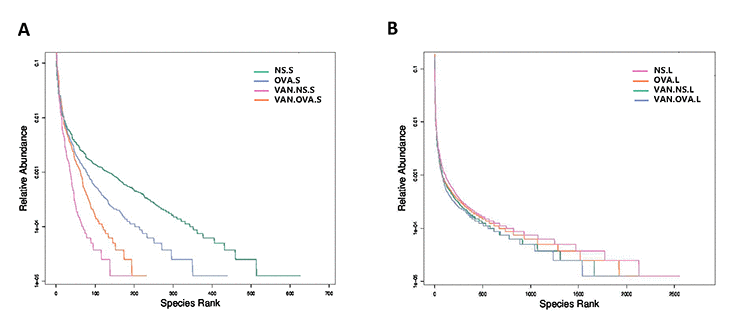 Vancomycin use reduced the richness and evenness of the microorganisms in the gut and lung. Rank-Abundance curves of all experimental groups. Lateral axis indicates the richness of samples, slope of curves indicates evenness of the microbiome in the (A) gut and (B) lung (n = 3). (NS.S: stool sample of the NS group; OVA.S: stool sample of the OVA group; VAN.NS.S: stool sample of the VAN-NS group; VAN.OVA.S: stool sample of the VAN-OVA group; NS.L: lung tissue of the NS group; OVA.L: lung tissue of the OVA group; VAN.NS.L: lung tissue of the VAN-NS group; VAN.OVA.L: lung tissue of the VAN-OVA group).