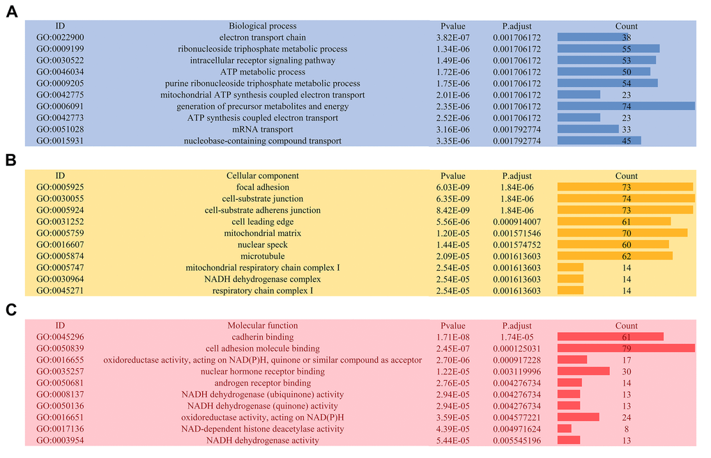 Gene ontology analysis of genes with survival-associated alternative splicing events. (A) Biological process; (B) Cellular component; (C) Molecular function.