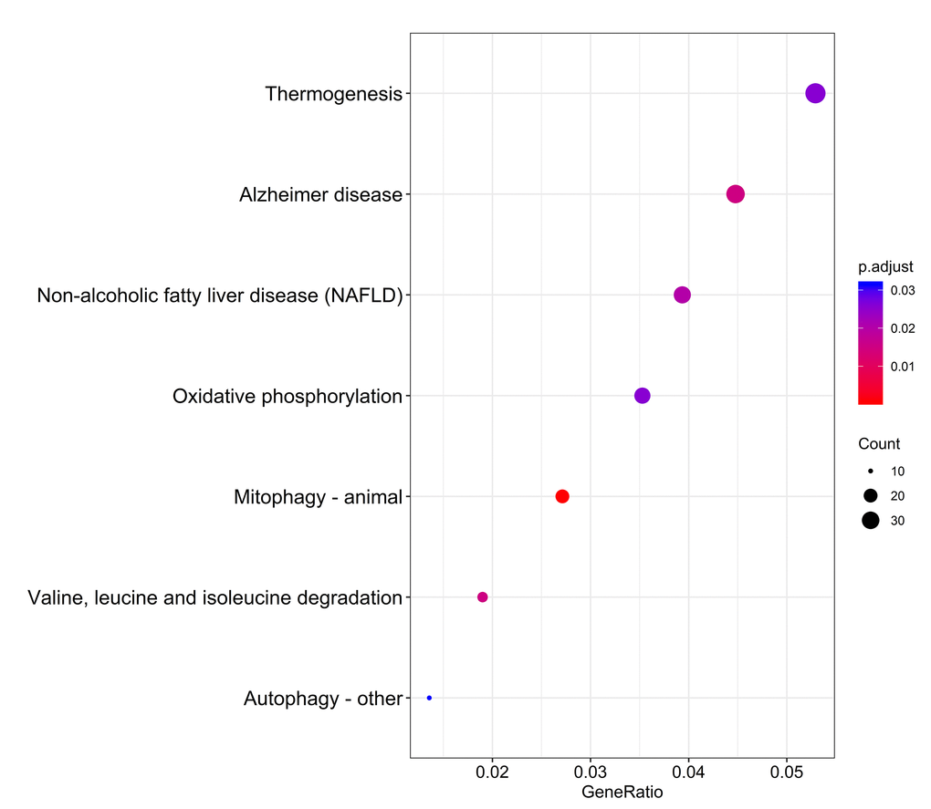 Kyoto Encyclopedia of Genes and Genomes (KEGG) pathway analysis of genes with survival-associated alternative splicing events.