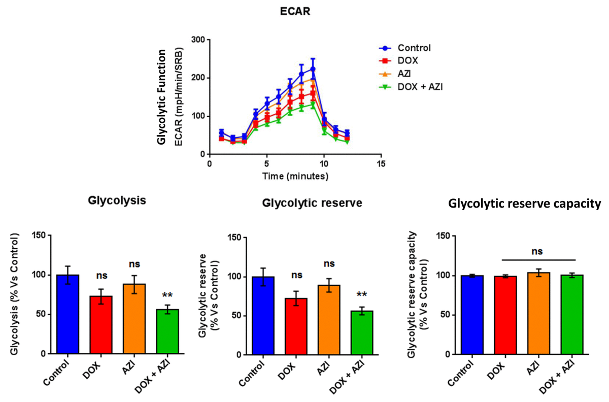 Doxycycline, Azithromycin and Vitamin C (DAV) A potent combination
