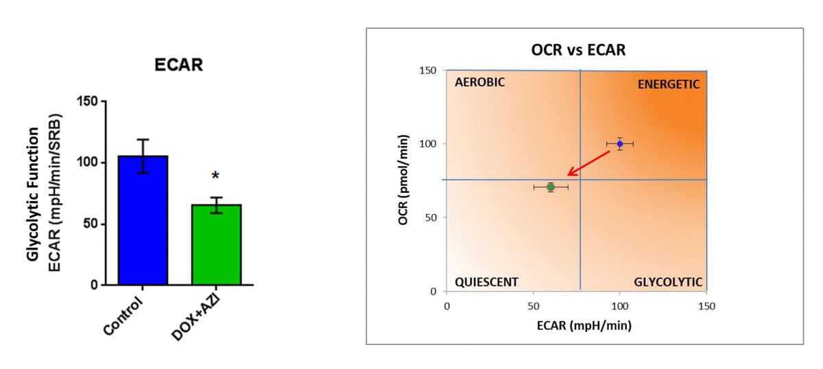 Doxycycline, Azithromycin and Vitamin C (DAV) A potent combination