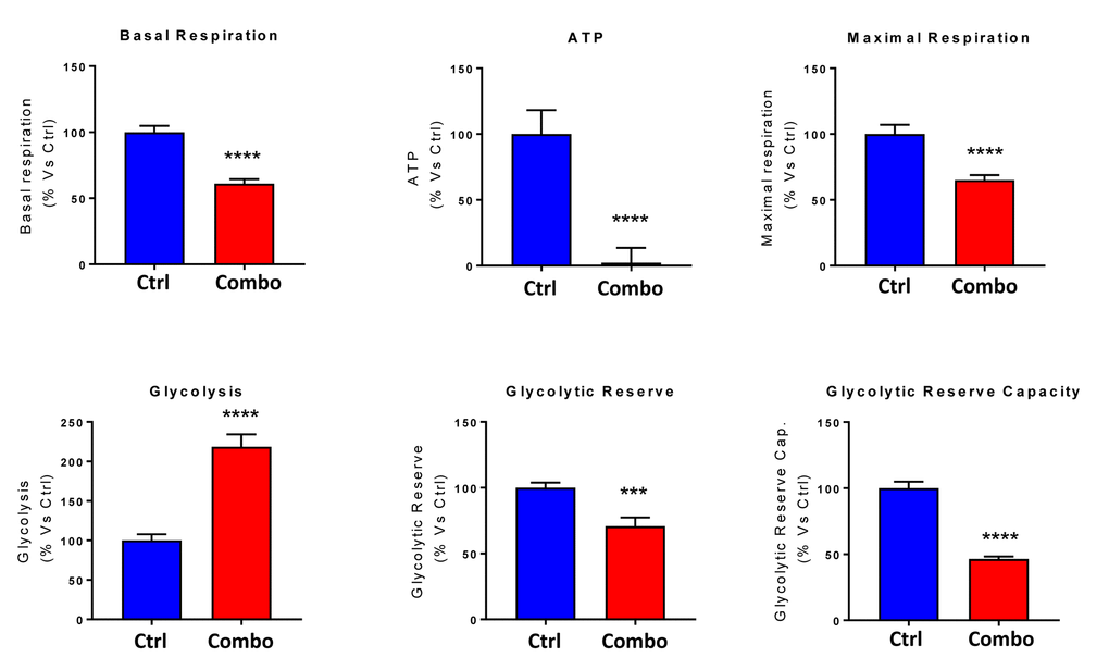 Combining low-dose Azithromycin and Doxycycline with Vitamin C (DAV), dramatically inhibits metabolism: Bar graphs. Note that the rate of oxidative mitochondrial metabolism was reduced by >50% and ATP levels were drastically reduced by >95%, as assessed using the Seahorse XFe96 analyzer. This resulted in significant reductions in both basal and maximal respiration. Note also that glycolysis was increased, while glycolytic reserve was decreased by the triple combination. ***p 