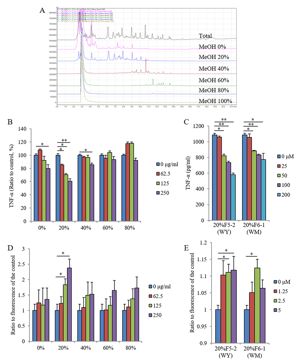 Effects of the fractions and peptides on inflammatory response and phagocytic activity in microglia. Casein protein was digested by using enzyme and fractionated by using a solid-phase column with 0%, 20%, 40%, 60%, and 80% methanol. (A) Chromatograph of each fraction using HPLC. (B, C) Effects of each fraction of methanol elution and dipeptides of WY and WM on inflammatory responses determined by using CD11b-positive primary microglia, respectively. The TNF-α production in supernatant of microglia culture pretreated with each fraction and dipeptides and then treated with LPS. (D, E) Effects of each fraction and the dipeptides on phagocytosis of Aβ determined by using CD11b-positive primary microglia, respectively. The intracellular fluorescence of Aβ-FAM in the microglia treated with each sample. Data are means ± SEM of 3–5 wells per sample. The p-values were calculated by using one-way ANOVA followed by Dunnett test. *p p 