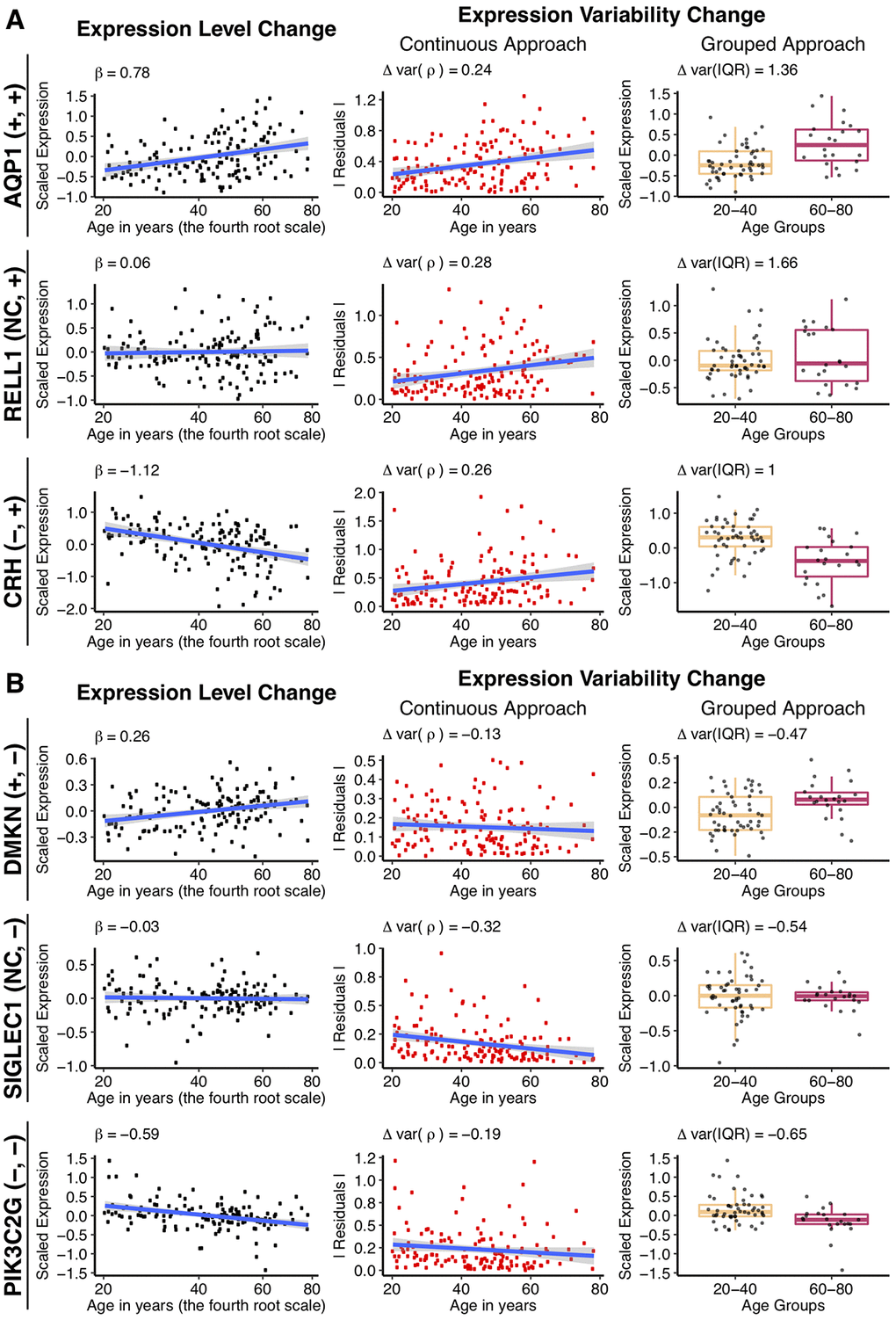 Changes in gene expression and its variability with age for some individual genes, using the different approaches. Example genes are chosen that increase (A), or decrease (B) expression variability with age, when the mean gene expression either increases, does not change or decreases. The types of change, for expression and variability respectively, is shown in the parenthesis following the gene name, for each row. Genes were selected to have the biggest absolute values of Δvar(ρ) and Δvar(IQR) as well as demonstrate significant increase, decrease or no change in the expression level with age. The first column to the left illustrates mean expression level (regression-corrected) plotted against individual’s age on the x0.25 – transformed scale. The regression line is colored in blue, with the β1 coefficient from the linear regression shown on the graph. The middle column illustrates the continuous approach to measure differential variability. Absolute values of the residuals (in red) from the regression line are plotted against age and the regression line between residuals and age (in blue) is drawn for illustrative purposes. The Spearman correlation estimates, Δvar(ρ) between the residuals and age are displayed on the graph and used in the subsequent analysis. The last column on the right illustrates the grouped approach to calculate differential variability. Gene expression levels (regression-corrected) of the individuals from the “young” (20 – 40 years old) and “old” (60 – 80 years old) groups are represented in the corresponding boxplots. A small random deviation (jitter) from the x-axis is applied for better visualization. Δvar(IQR), the fractional change in the variability in the “old” group, as compared to the “young”, is displayed on the graph.