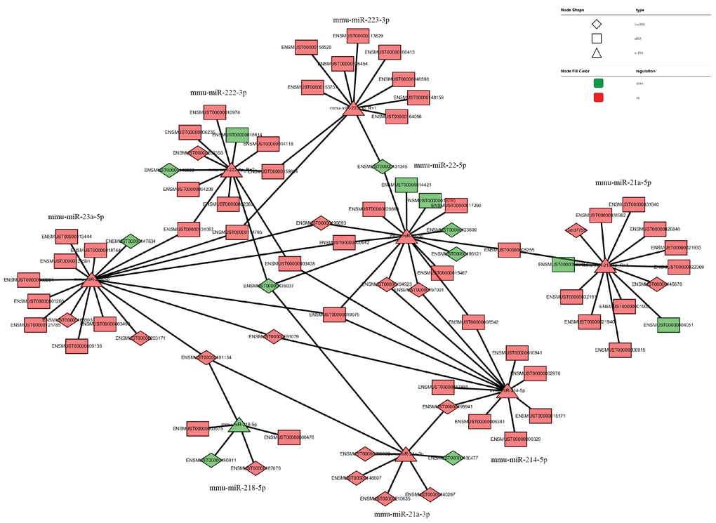 LncRNA–miRNA–mRNA regulatory interaction network analysis.