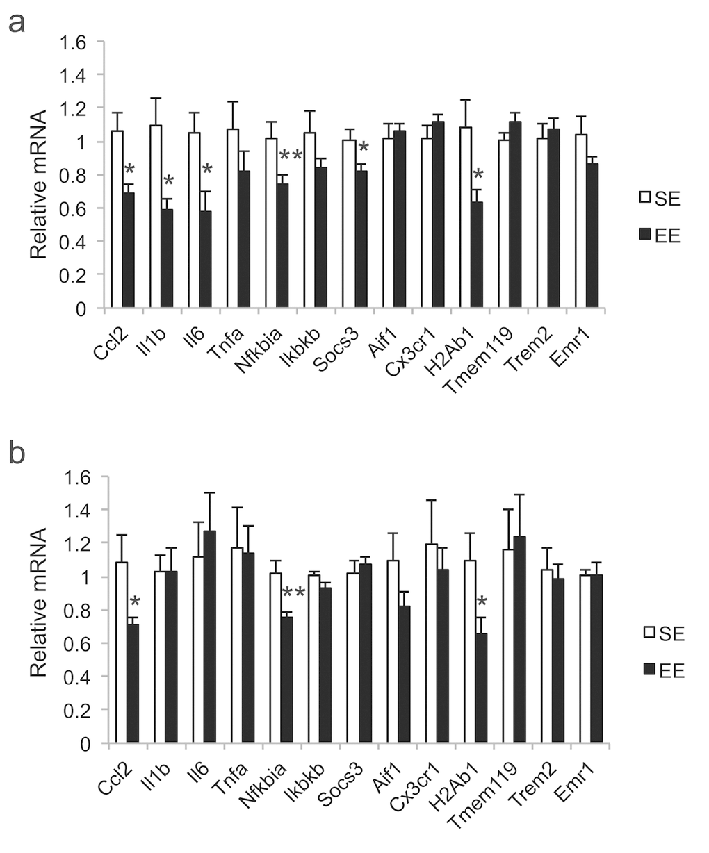 Gene expression profiles after 12-month EE initiated at 10-month of age. (a) Hypothalamus. (b) Amygdala. n=8 per group. *pp