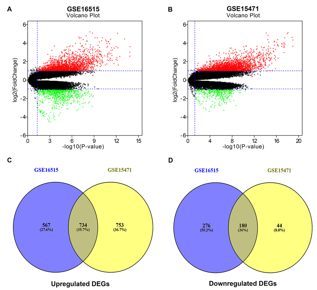 Identification of significant differentially expressed genes (DEGs) in pancreatic cancer. (A) Volcano plot showing the DEGs identified from GSE16515. (B) Volcano plot showing the DEGs identified from GSE15471. X axis represents log transformed P value, and Y axis indicates the mean expression differences of genes between pancreatic cancer samples and normal samples. Note: The two volcano plots showed all of the DEGs; the black dots represent genes that are not differentially expressed between pancreatic cancer samples and normal samples, and the green dots and red dots represent the downregulated and upregulated genes in pancreatic cancer samples, respectively. |log2FC| >1 and adj. p-value C) The intersection of upregulated DEGs of GSE16515 and GSE15471 datasets. (D) The intersection of downregulated DEGs of GSE16515 and GSE15471 datasets. The intersected DEGs were defined as the significant DEGs.