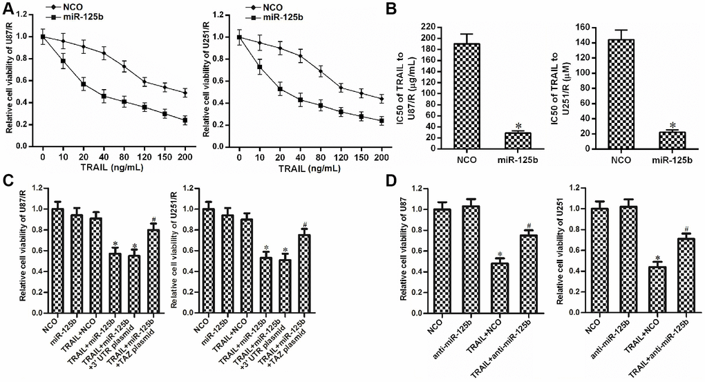 MiR-125b mimics targets TAZ to attenuate the TRAIL resistance in U251/R and U87/R. (A) MiR-125b mimics increased the drug sensitivity of U251/R and U87/R to TRAIL. (B) Effect of miR-125b mimics on reducing the IC50 of TRAIL to U251/R and U87/R. *P vs. NCO group. (C) Transfection with TAZ plasmid inhibited the sensitization of miR-125b on TRAIL-induced cytotoxicity against U251/R and U87/R. *P vs. TRAIL + NCO group. #P vs. TRAIL + miR-125b group. (D) Anti-miR-125b decreased the drug sensitivity of U251 and U87 to TRAIL. *P vs. NCO group. #P vs. TRAIL + NCO group.