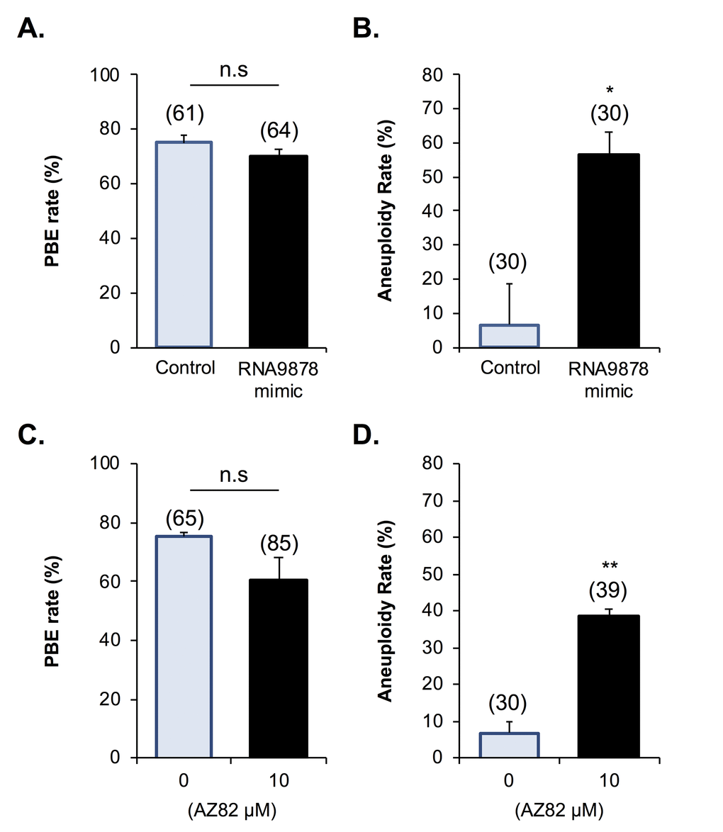 Biological impact of endo-siRNA target gene knockdown and HSET inhibition. To confirm the biological significance of the endo-siRNA-mediated knockdown, RNA9878, GV oocytes were microinjected with a synthetic RNA9878 small RNA mimic, a non-targeting negative control, or subjected to pharmacological HSET inhibition (AZ82; 10 μM). (A) Non-targeting, RNA9878 mimic injected, and HSET inhibited oocytes were then subject to IVM to MII where (A, C) PBE and (B, D) aneuploidy rates were recorded. siRNA-mediated knockdown and HSET inhibition experiments were repeated on three biological replicates, with each replicate comprising a minimum of 20 oocytes randomly sampled from a pool of oocytes isolated from three animals. Values are shown as a mean of each replicate ± SEM. * Statistical analyses were performed using Student’s t-test, p p 