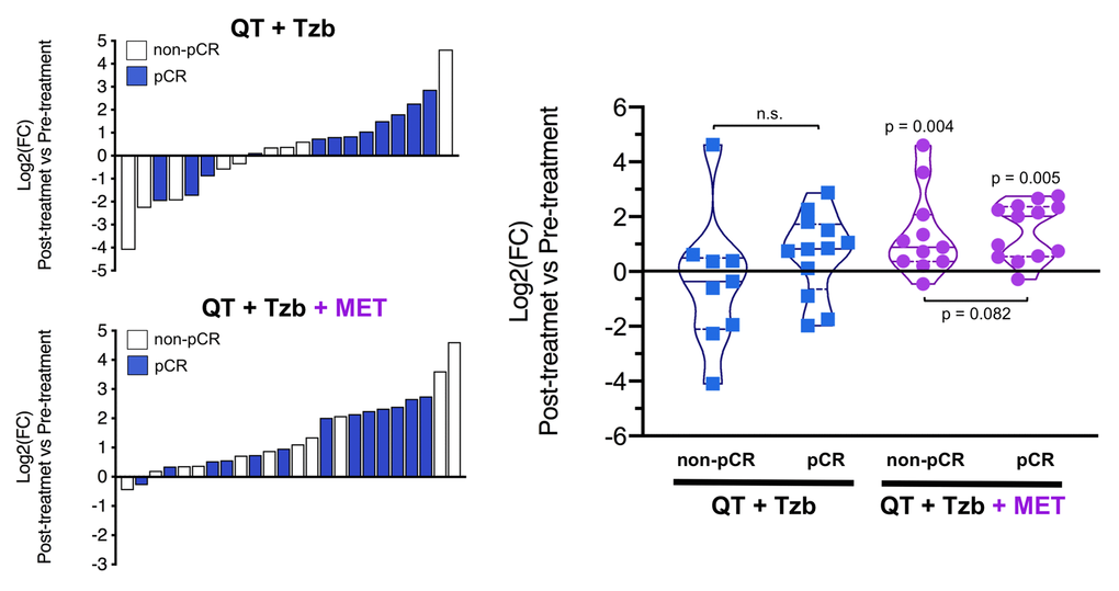 Left. Waterfall plots showing the log2 fold chance of circulating α-KG and correlation with treatment outcomes. Right. Violin plots depicting the log2 fold chance of circulating α-KG in each treatment arm categorized by treatment outcomes. (pCR: pathological complete response; QT: chemotherapy; Tzb: trastuzumab; MET: metformin; p-values by Wilcoxon signed-ranked test).