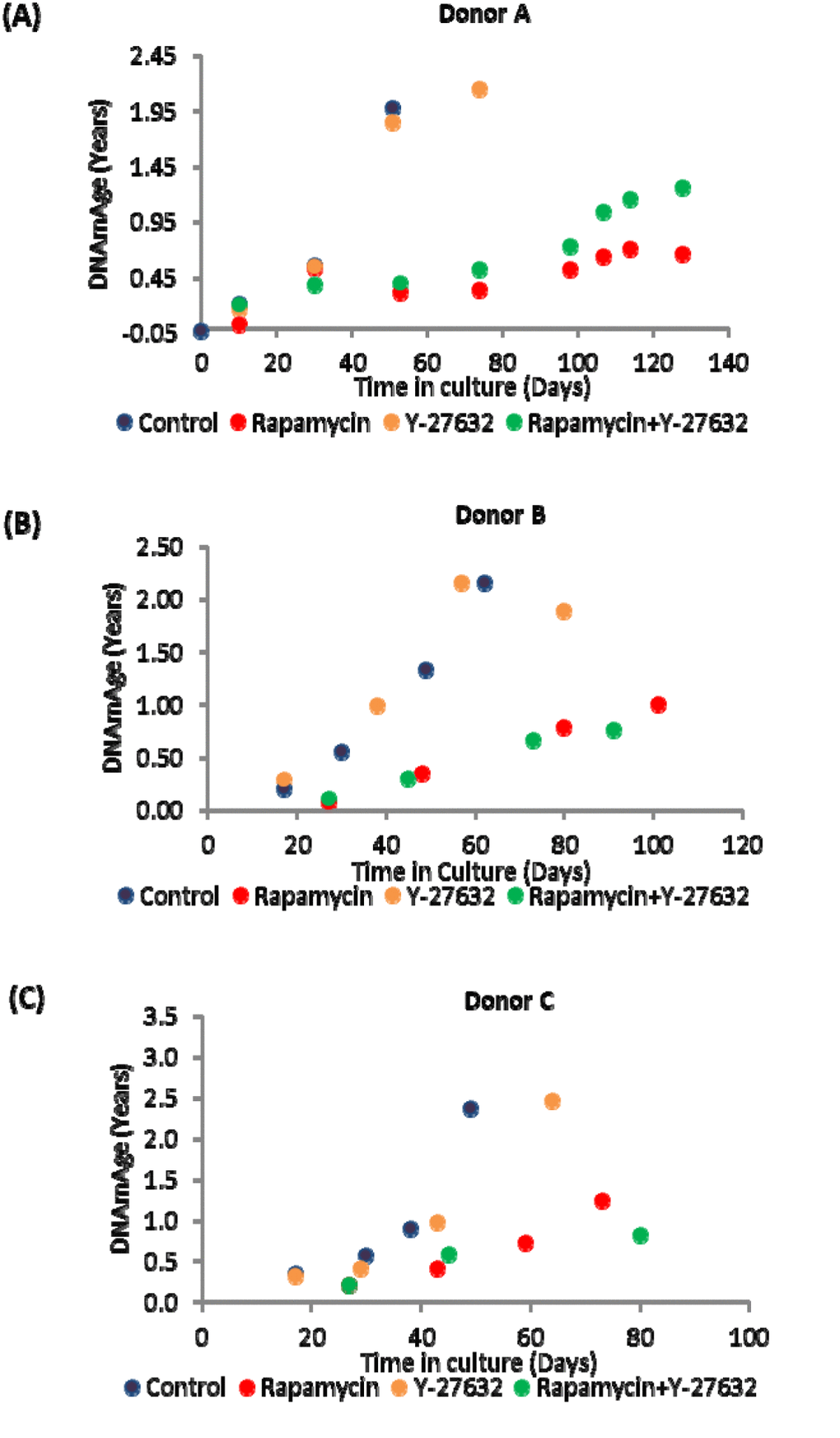 Ageing dynamics of keratinocytes of (A) Donor A, (B) Donor B and (C) Donor C in the presence or absence of rapamycin and Y-27632. Methylation profiles of DNA from selected passages of each cell population were analysed and their ages estimated with the skin and blood clock. The colour allocated to each culture condition is preserved throughout for ease of comparison.