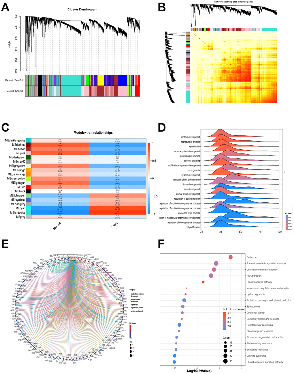 WGCNA is applied to analyze gene modules. (A) Cluster dendrogram of the coexpression network modules was produced based on topological overlap in the mRNAs. (B) Heatmap plot of topological overlap in the gene network was shown. (C) The relation of genes in modules between AML and normal samples was investigated. (D–E) GO-GSEA displayed the gene symbols and gene interaction in cyan module and turquoise module. (F) KEGG analysis was used to investigate the pathway enrichment in cyan module and turquoise module.