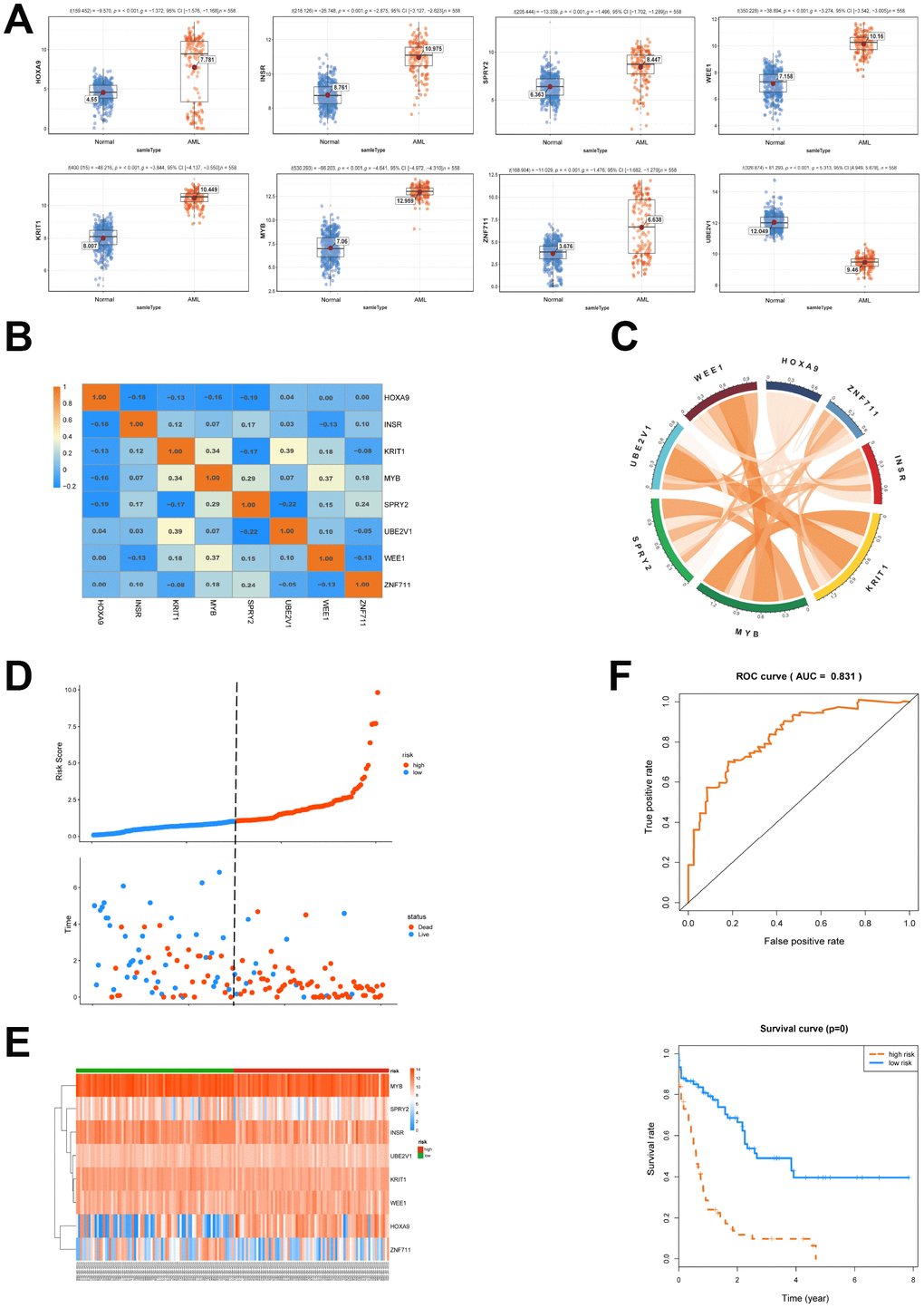 Survival analysis of the 8 genes is conducted. (A) The expression of 8 selected genes between AML and normal samples was shown. (B, C) The expression relationship of the 8 genes was displayed. (D) AML patients were classified into predicted low and high risk groups according to the multivariate cox proportional hazard regression analysis. (E) The expression heatmap of the 8 genes in high risk or low risk group was shown. (F) ROC and Kaplan-Meier survival analysis of the 8- genes model was performed.