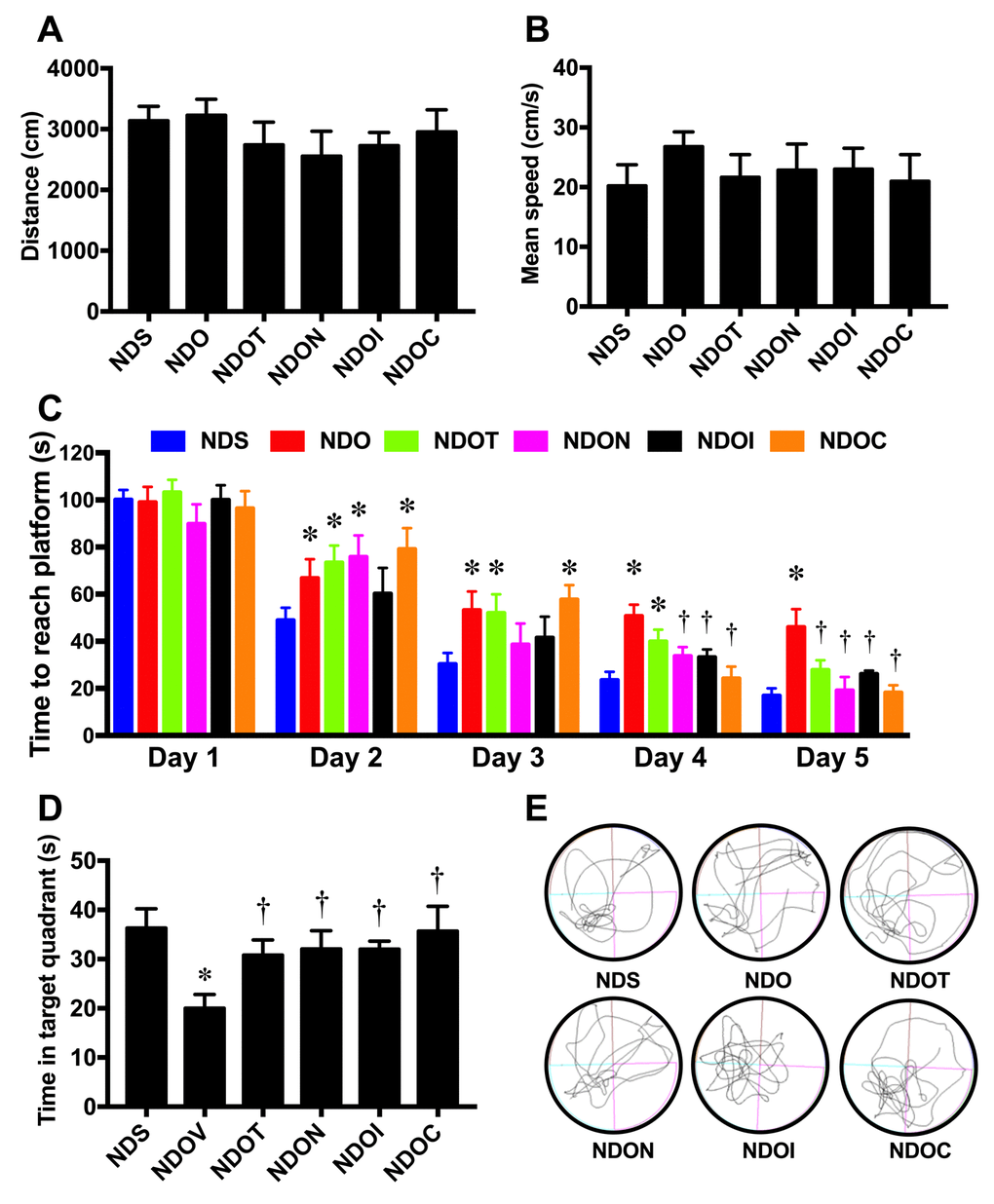 The effects of NAC, inulin and combined therapy on cognitive function in rats with testosterone deprivation. (A) Locomotor function as indicated by distance during the open-field test. (B) Mean speed during acquisition test of Morris Water Maze test. (C) Time to reach the platform during acquisition test of Morris Water Maze test. (D) Mean time spent in target quadrant during probe test. (E) The representative tracing during the probe test (left-lower quadrant is target quadrant). NDS: rats with sham operation; NDO: rats with orchiectomy; NDOT: rats with orchiectomy receiving testosterone replacement; NDON: rats with orchiectomy receiving NAC treatment; NDOI: rats with orchiectomy receiving inulin treatment; NDOC: rats with orchiectomy receiving the combined therapy (the combination of NAC and inulin) (N=6 of each group) *p